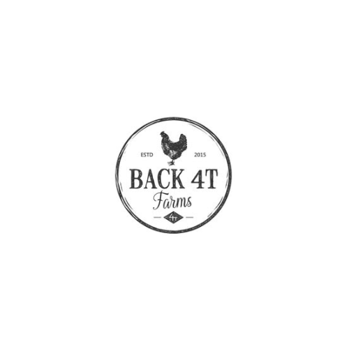 back 2