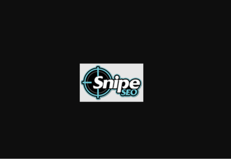 Snipe SEO Austin TX1 768x527