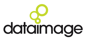Data Image Group Ltd Logofull